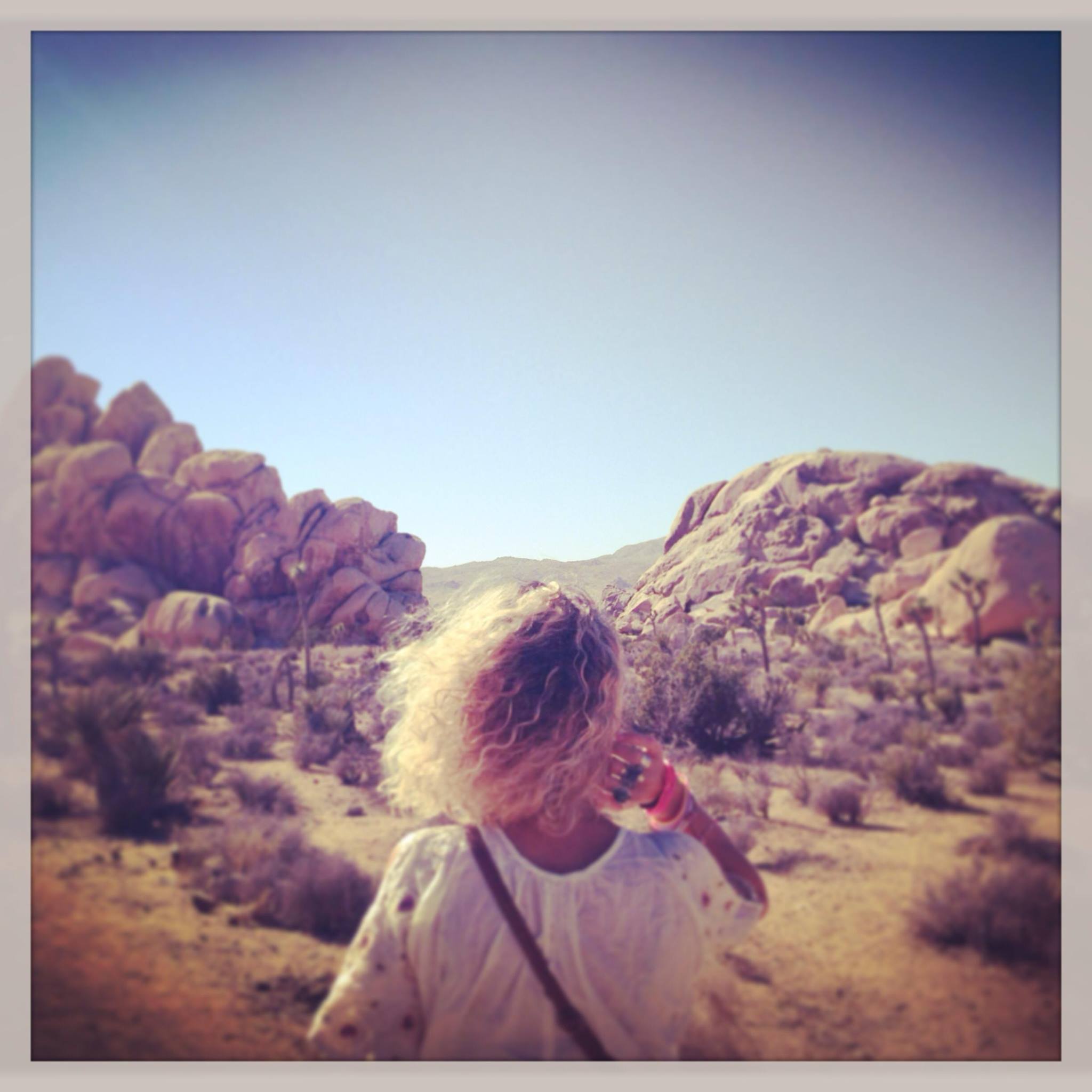 joshua-tree-national-park