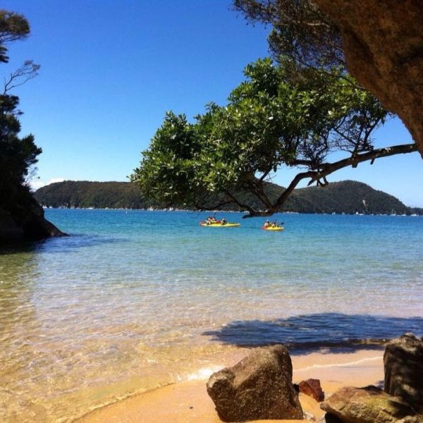 NZ abel tasman kayak